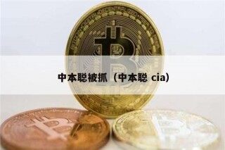 中本聪被抓（中本聪 cia）